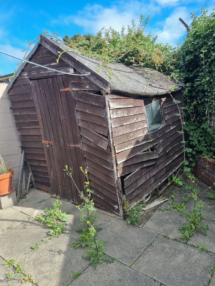 Collapsing overgrown timber garden shed with broken cladding, ready for shed clearance and removal